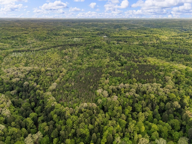 26975 Chapel Ridge Rd, South Bloomingville, OH 43152 - bird's eye view of a heavily wooded area