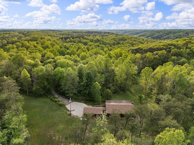 26975 Chapel Ridge Rd, South Bloomingville, OH 43152 - view from above of property featuring a heavily wooded area