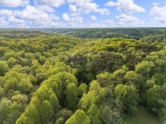 26975 Chapel Ridge Rd, South Bloomingville, OH 43152 - bird's eye view of a forest