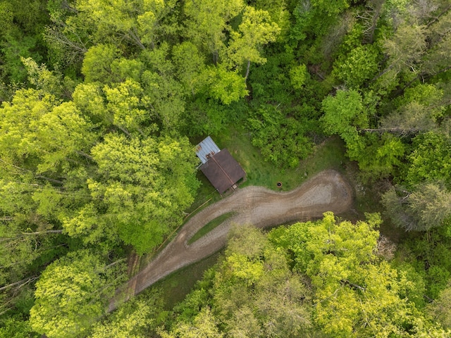 26975 Chapel Ridge Rd, South Bloomingville, OH 43152 - drone / aerial view