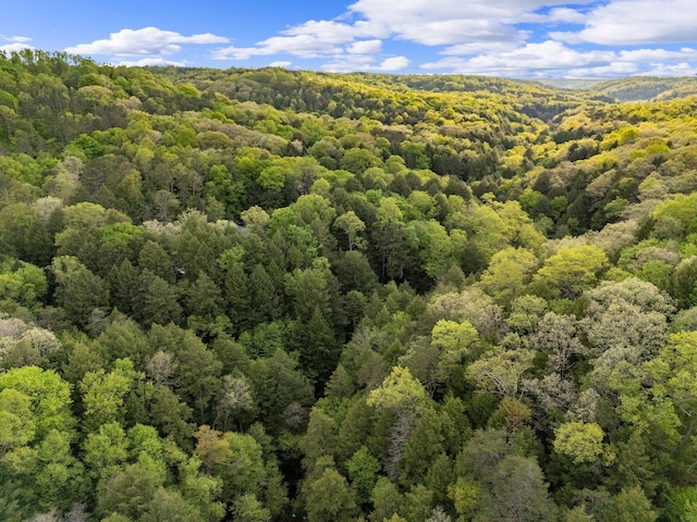 26975 Chapel Ridge Rd, South Bloomingville, OH 43152 - bird's eye view of a heavily wooded area