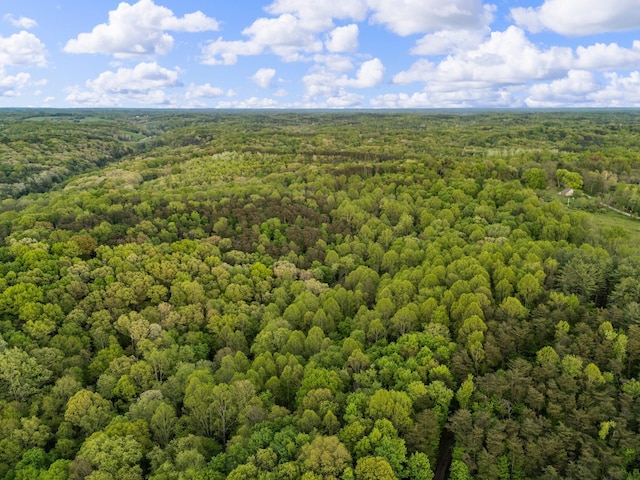 26975 Chapel Ridge Rd, South Bloomingville, OH 43152 - aerial view of a forest