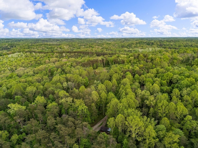 26975 Chapel Ridge Rd, South Bloomingville, OH 43152 - drone / aerial view of a heavily wooded area