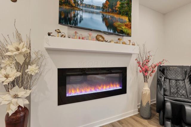 351 Trinity Way W, Newark, OH 43055 - detailed view of a glass covered fireplace, wood finished floors, and baseboards