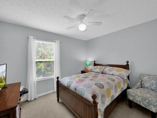 229 Victorian Dr, Commercial Point, OH 43116 - photo 21