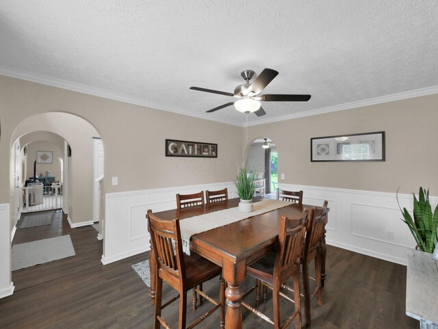 229 Victorian Dr, Commercial Point, OH 43116 - photo 10