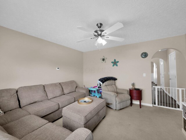 229 Victorian Dr, Commercial Point, OH 43116 - photo 7