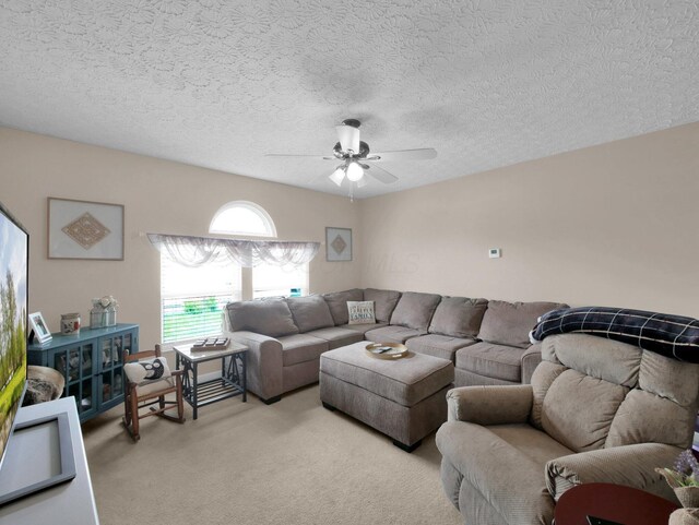 229 Victorian Dr, Commercial Point, OH 43116 - photo 5