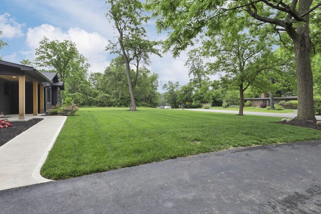 29 Pocono Rd, Columbus, OH 43235 - view of grassy yard
