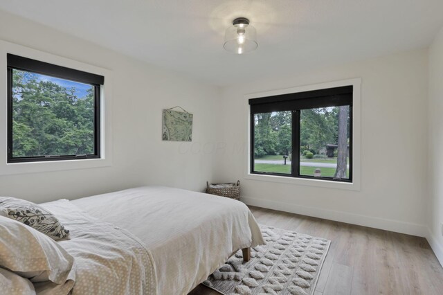 29 Pocono Rd, Columbus, OH 43235 - bedroom featuring multiple windows, baseboards, and wood finished floors
