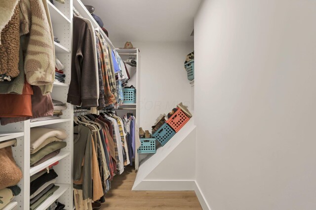 29 Pocono Rd, Columbus, OH 43235 - walk in closet with wood finished floors