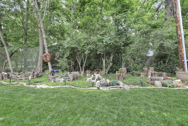 29 Pocono Rd, Columbus, OH 43235 - view of green lawn