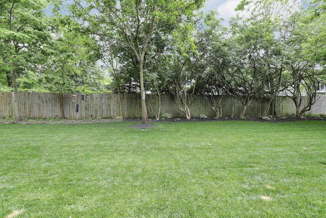 29 Pocono Rd, Columbus, OH 43235 - view of yard