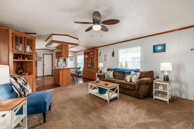 2389 Bluff Run Dr, Grove City, OH 43123 - living room featuring crown molding, a ceiling fan, a textured ceiling, and carpet