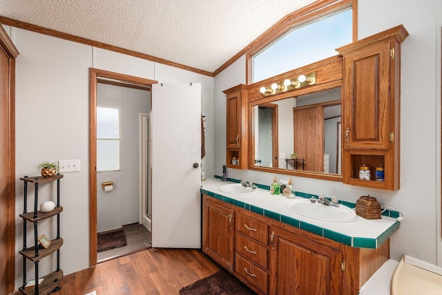 2389 Bluff Run Dr, Grove City, OH 43123 - full bathroom with vaulted ceiling, wood finished floors, a textured ceiling, crown molding, and double vanity