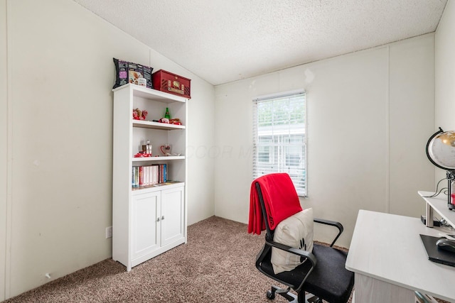 2389 Bluff Run Dr, Grove City, OH 43123 - carpeted office featuring a textured ceiling