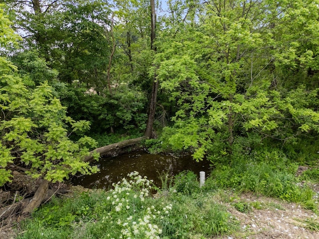 7931 Concord Rd, Johnstown, OH 43031 - view of local wilderness