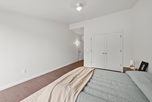 7931 Concord Rd, Johnstown, OH 43031 - bedroom featuring wood finished floors and a closet