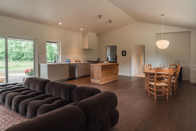 7931 Concord Rd, Johnstown, OH 43031 - living area featuring vaulted ceiling, dark wood-type flooring, and recessed lighting
