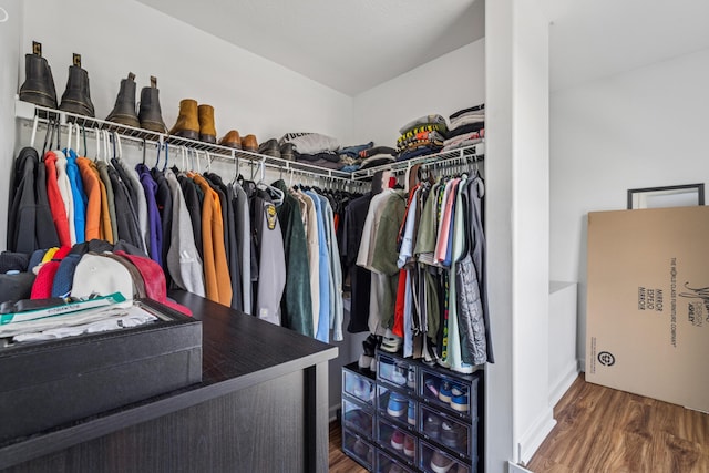 6213 Red Glare Dr Unit 290, Galloway, OH 43119 - walk in closet with wood finished floors