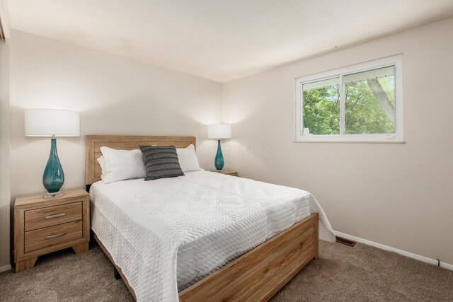 2142 Balford Sq W, Columbus, OH 43232 - bedroom with carpet floors and baseboards