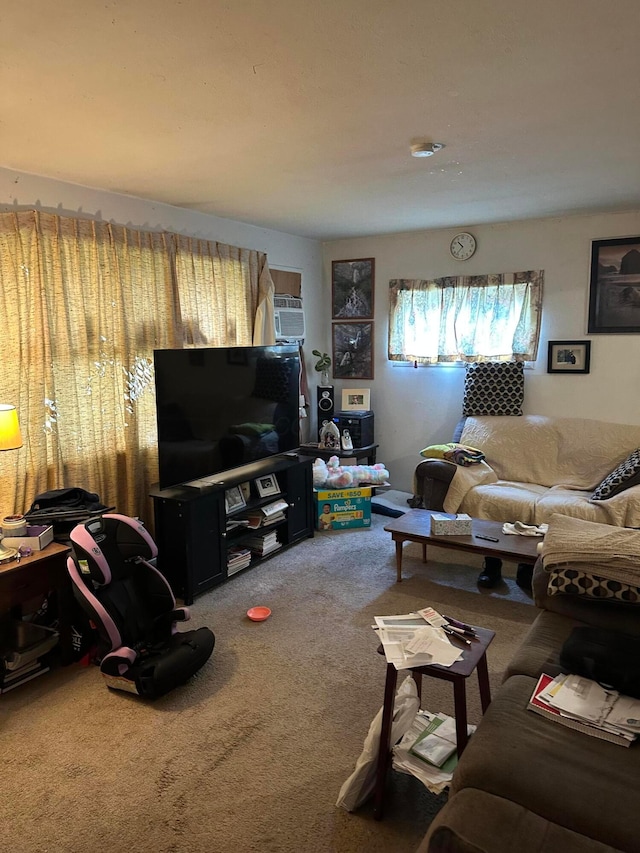 803 Demorest Rd, Columbus, OH 43204 - view of carpeted living area