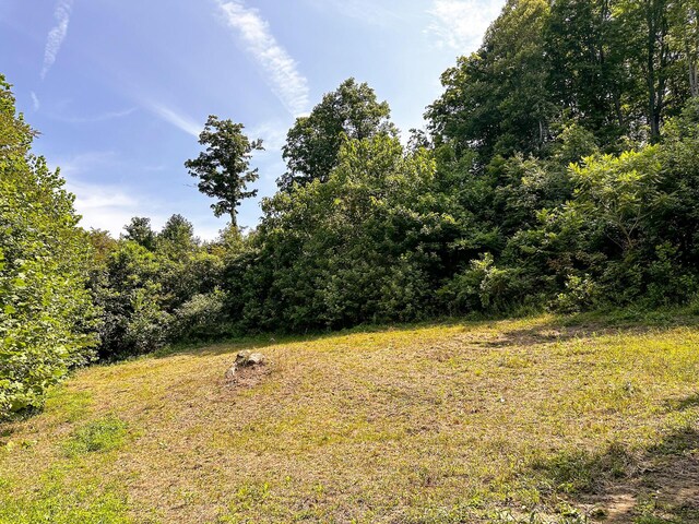 32204 Titus Rd Unit Gv, Cabin At Titus Langsville, OH 45741 - photo 64