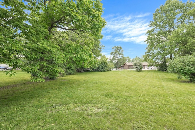 66-64 Eaton St, Delaware, OH 43015 - view of green lawn
