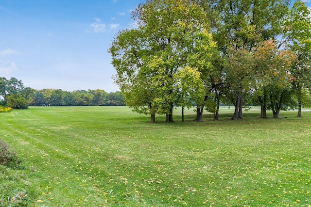5045 Labelle Dr, Columbus, OH 43232 - view of green lawn
