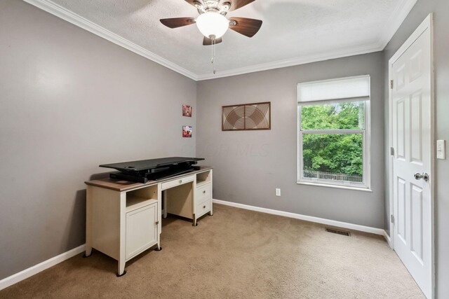 5191 Hialeah Ct, Columbus, OH 43221 - office space featuring light colored carpet, ornamental molding, ceiling fan, baseboards, and a textured ceiling