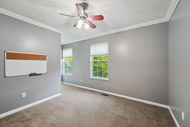 5191 Hialeah Ct, Columbus, OH 43221 - spare room featuring a textured ceiling, ornamental molding, a ceiling fan, carpet floors, and baseboards