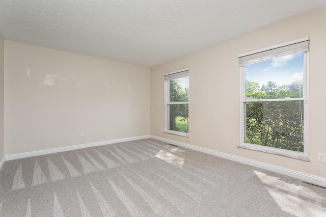 8732 Eastfield Ct, Pickerington, OH 43147 - spare room featuring carpet flooring and a textured ceiling