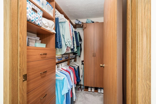 2423 Hooverside Ln, Grove City, OH 43123 - walk in closet with carpet floors