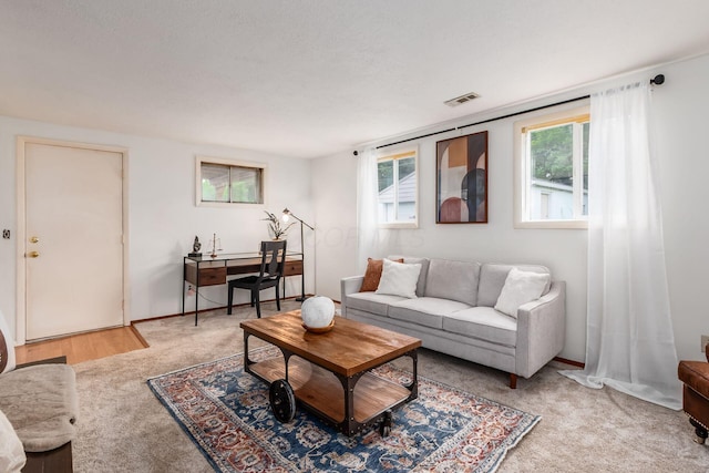 815 Savannah Dr, Columbus, OH 43228 - living room featuring light colored carpet