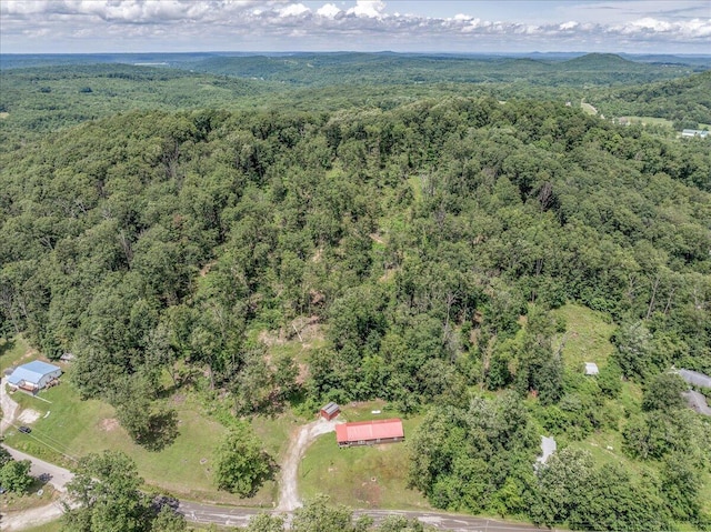 100 Camelin Hill Rd, Chillicothe, OH 45601 - photo 16