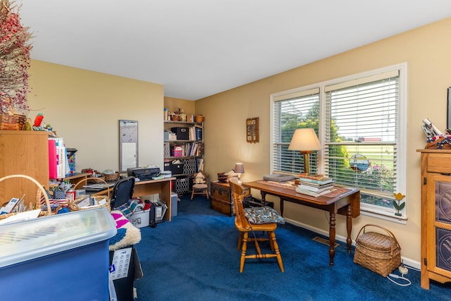 445 Cedar Hill Rd SW, Amanda, OH 43102 - view of carpeted home office