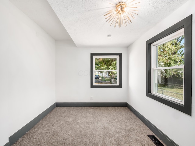 1432 Cordell Ave, Columbus, OH 43211 - spare room featuring carpet flooring, plenty of natural light, and a textured ceiling