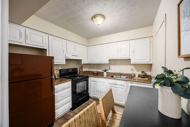 1530 Slade Ave Unit 101, Columbus, OH 43235 - kitchen featuring freestanding refrigerator, black electric range, a sink, under cabinet range hood, and white cabinetry