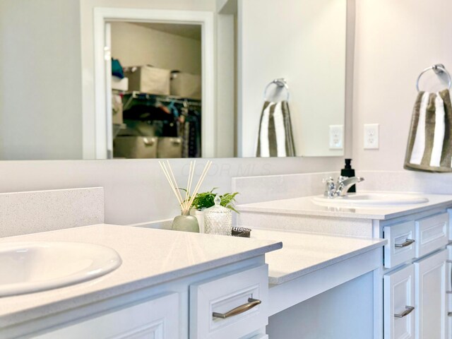 3895 Brody Dr, Grove City, OH 43123 - bathroom featuring vanity and a walk in closet