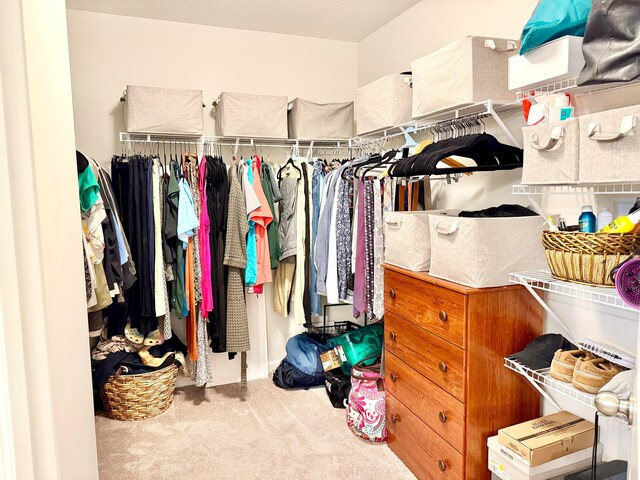 3895 Brody Dr, Grove City, OH 43123 - walk in closet featuring carpet