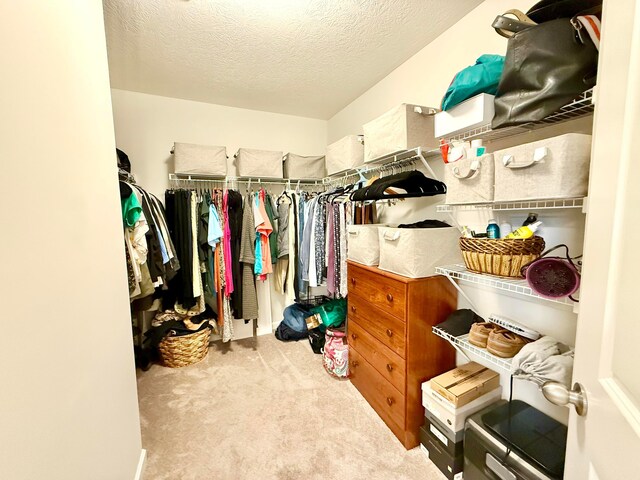 3895 Brody Dr, Grove City, OH 43123 - walk in closet with carpet flooring