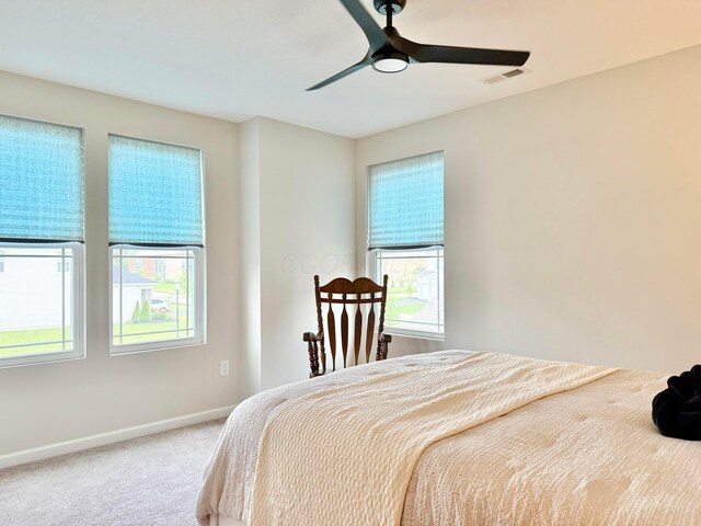 3895 Brody Dr, Grove City, OH 43123 - carpeted bedroom featuring multiple windows, baseboards, and a ceiling fan