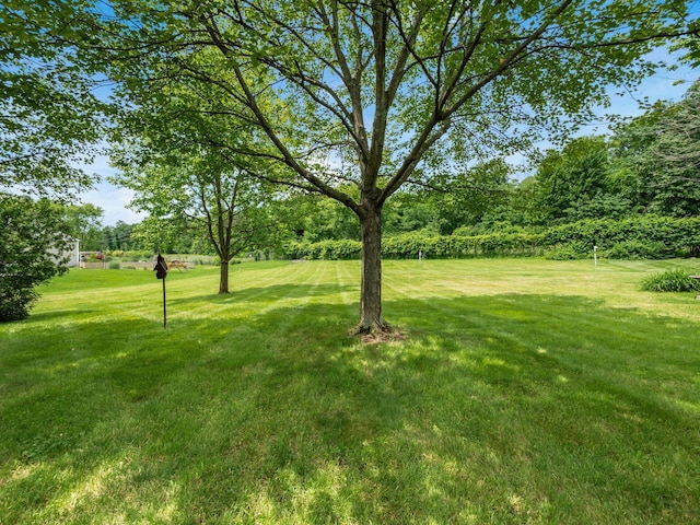 5434 Flat Head Ct, Columbus, OH 43230 - view of green lawn