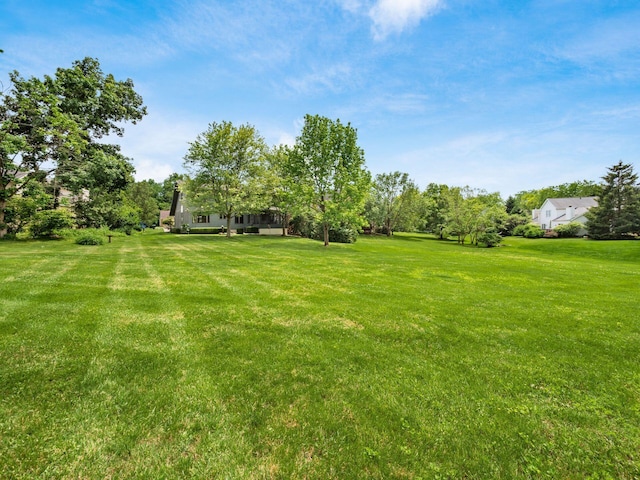 5434 Flat Head Ct, Columbus, OH 43230 - view of green lawn with view of wooded area