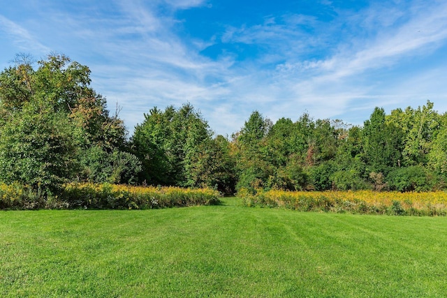 5434 Flat Head Ct, Columbus, OH 43230 - view of green lawn