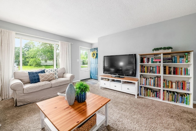 1058 Erickson Ave, Columbus, OH 43227 - living area with carpet and a textured ceiling