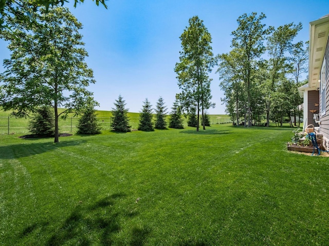 2235 Forestview Ln, Delaware, OH 43015 - view of grassy yard