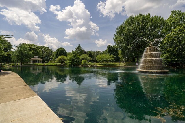 312 Cornelius St, Columbus, OH 43215 - water view