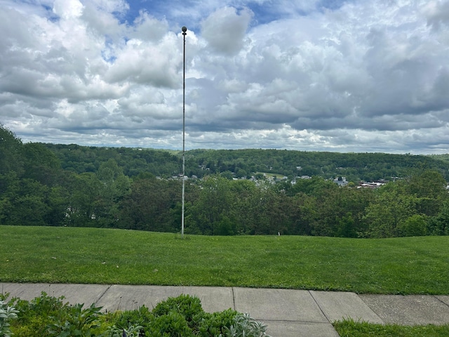 3049 Palace Heights Ln NW, Malta, OH 43758 - view of mountain background with a heavily wooded area