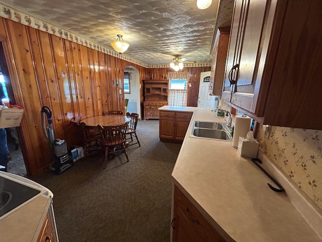3049 Palace Heights Ln NW, Malta, OH 43758 - kitchen featuring a sink, a ceiling fan, dark carpet, light countertops, and wood walls